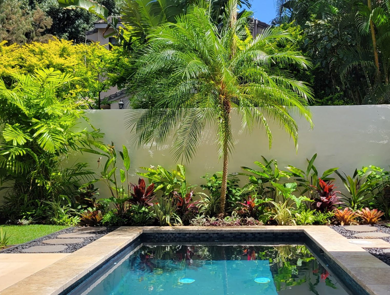 A poolside landscape with palms and layered greenery