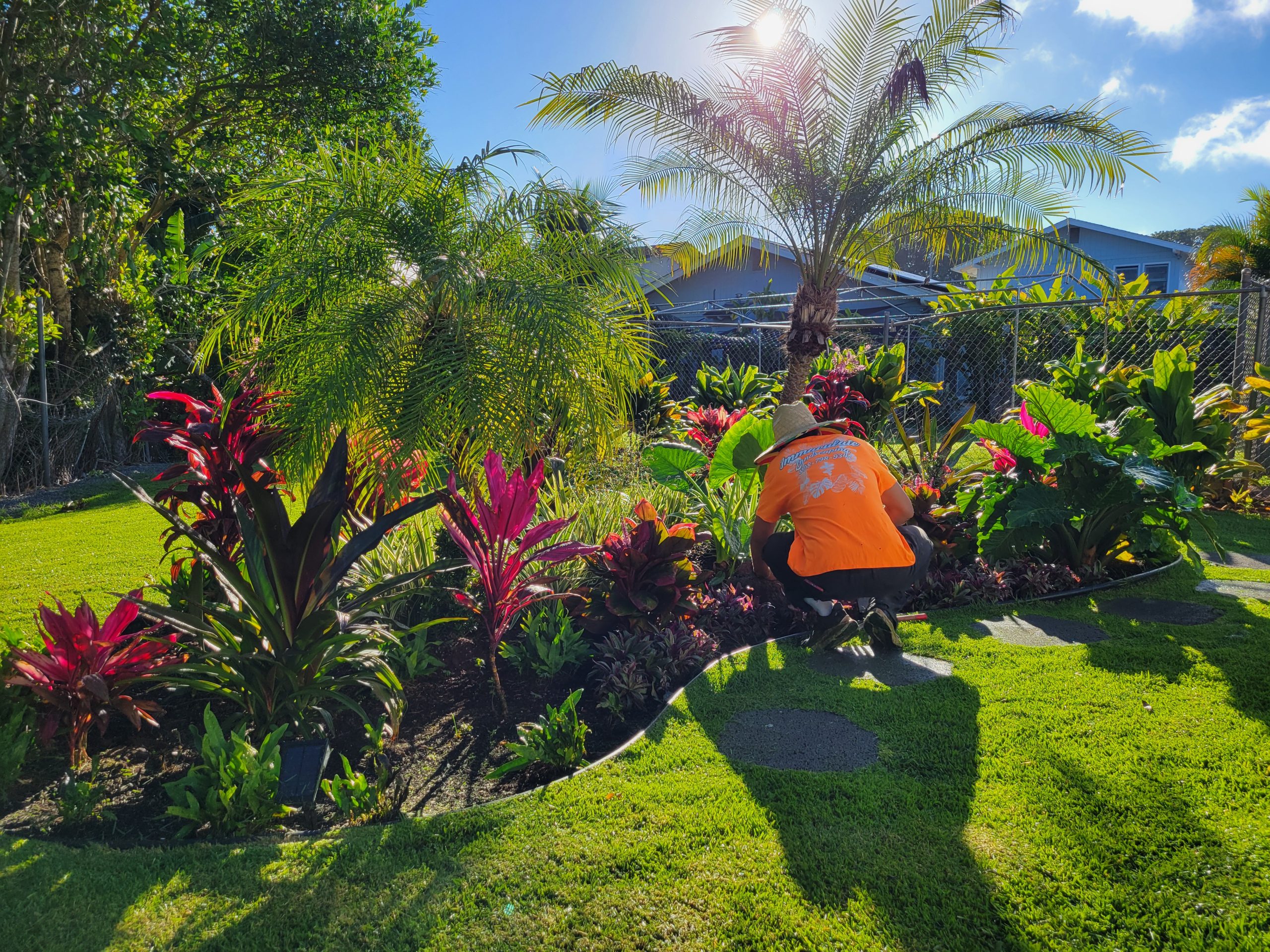Immaculate Landscaping 20240119 085131 | Immaculate Landscaping A landscaped outdoor space maintained by Immaculate Landscaping