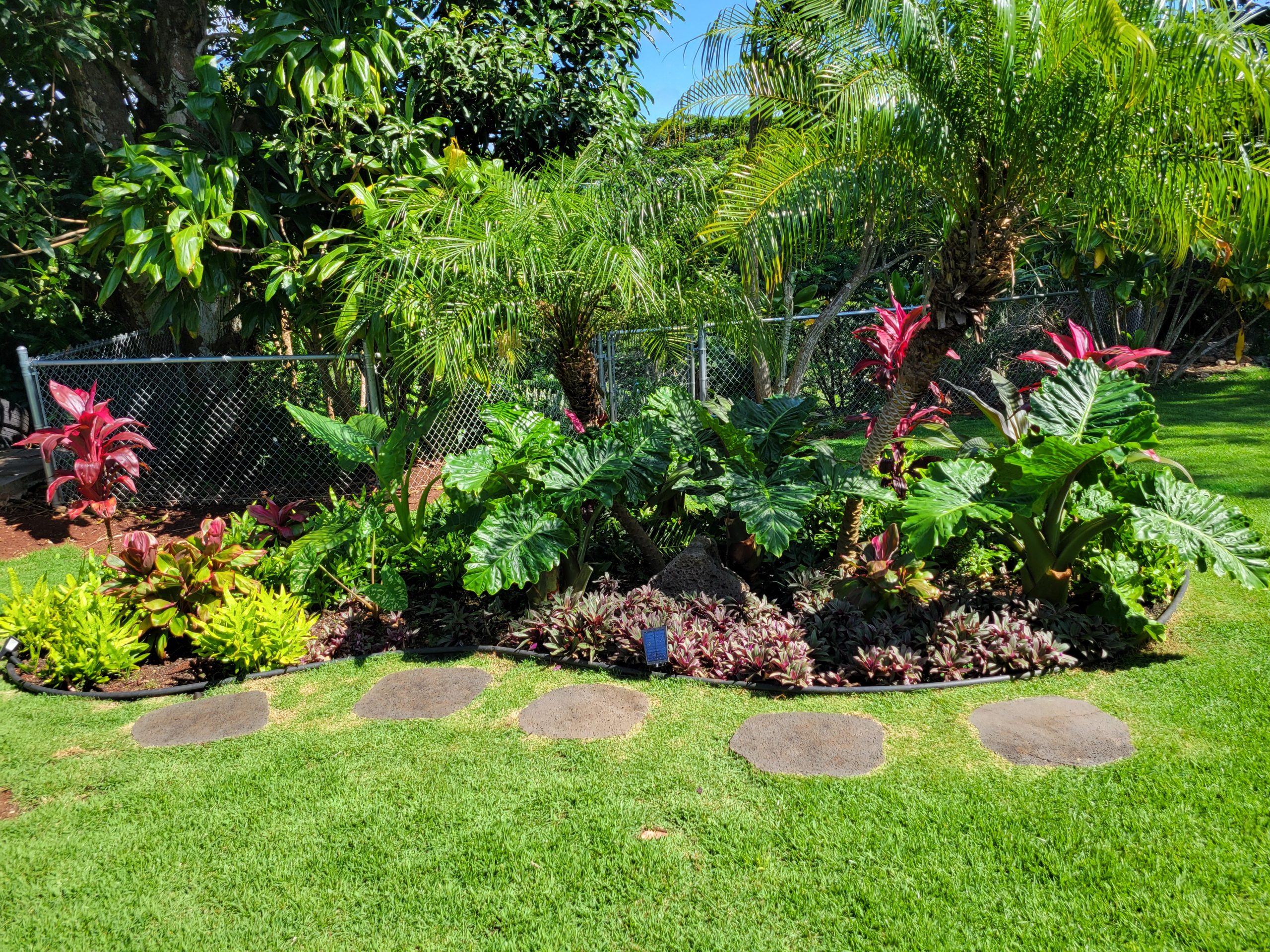 A landscaped tropical garden with palms and colorful planting
